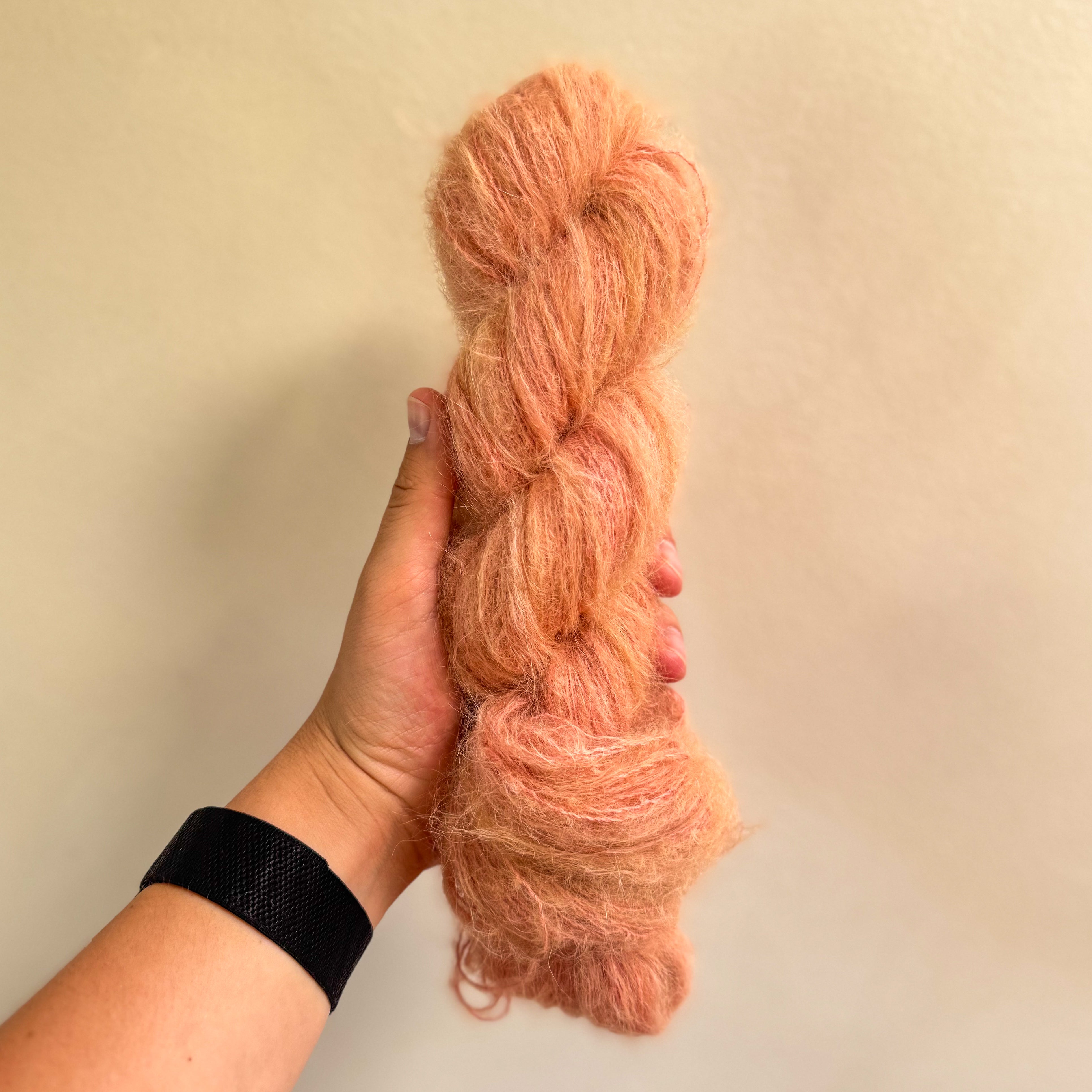 Suri Veil Lace - Everyday Colors